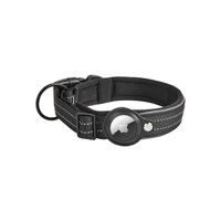 Ensemble de laisse et collier pour chien en polyester rembourré, réglable, confortable et durable, avec poignée et accessoires