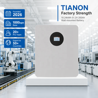 Batterie solaire hybride murale 10,24 kWh 51,2 V 200 Ah pour la maison, avec fonction de sauvegarde pour les systèmes résidentiels hors réseau (CAN)