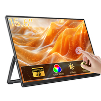 Monitor Portátil Eimio de 15.6 Pulgadas con Alta Luminosidad de 300nit, Interfaz Tipo-C, Panel IPS Táctil, para Trabajo de Campo al Aire Libre, OEM, ODM, Juegos