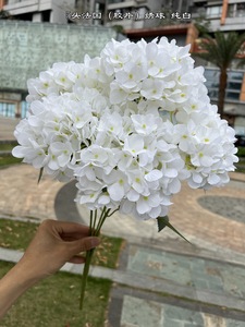 Đồ Trang Trí Đám Cưới Hoa Cẩm Tú Cầu 5 Đầu Nhân Tạo Để Trang Trí Tiệc Cưới Bó Hoa Cẩm Tú Cầu 5 Nhánh - Product Image 4