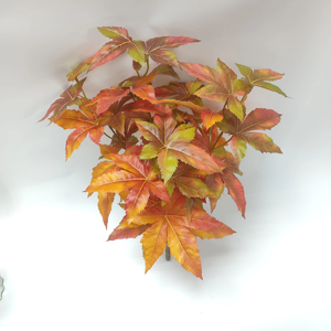 Feuilles d'érable artificielles d'<span class=keywords><strong>automne</strong></span> <span class=keywords><strong>en</strong></span> provenance directe de l'usine, tige de 19,5 pouces, branches de feuilles d'<span class=keywords><strong>automne</strong></span>, décorations de fête d'<span class=keywords><strong>automne</strong></span>, décorations de cheminée - Product Image 1