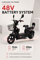 Vélo Électrique Urbain pour Commuters avec Batterie au Lithium Amovible en Option et Panier Avant – Siège Passager Disponible – E-Bike Adulte