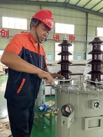 Transformador de Potencia Monofásico de Baja Tensión de 11kv 40kva Sumergido en Aceite para Montaje en Poste
