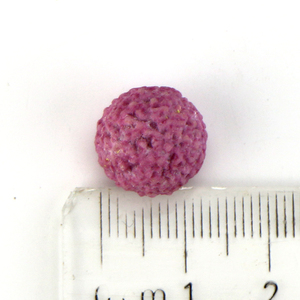 Broma Crujiente Ácido Caramelo Azúcar Recubierto Frutas amargas Caramelo de goma - Product Image 6