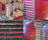 KINKAI meest energiezuinige grote capaciteit traydroger met warmtepomptechnologie voor het drogen van fruit en groenten