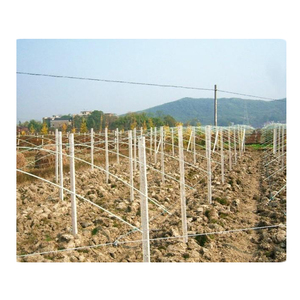 แท่งไฟเบอร์กลาสไม่เป็นสนิม เสาไฟเบอร์กลาสสำหรับยึดต้นองุ่น เสา FRP - Product Image 1