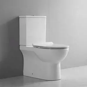 Thiết bị vệ sinh phòng tắm gốm WC piss hai mảnh nhà vệ sinh đặt