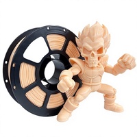 Filament d'imprimante 3D NOST PETG Abricot