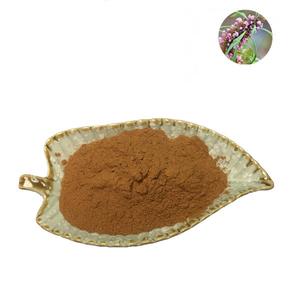 Ekstrak herbal Motherwort Tiongkok Yi Mu Cao bubuk ekstrak <span class=keywords><strong>Leonurus</strong></span> Japonicus kualitas makanan - Product Image 1