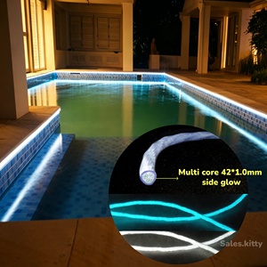Cable de Fibra Óptica para Iluminación Perimetral de Piscinas en Exteriores, Cable de Fibra Óptica Luminoso de Plástico con Iluminación Lateral - Product Image 2