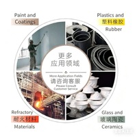 Bubuk Mika Muskovit Chenxing 150 Mesh untuk Penyerapan Minyak pada Lukisan 20 30ml/100g