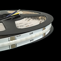 Fcob Strip Lights U L Ce Rohs 840leds/m Rgtcct 3000k 4000k 6500k Dc24v 12mm Wide Cob Lights Cri90 Fcob Led Strip Light