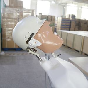 Simulatori di Testa Fantoccio per Laboratorio Odontotecnico, Banco da Lavoro per Istituti Educativi e Formazione Studenti Odontoiatri - Product Image 3