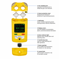 Détecteur de fuite de gaz industriel CH4 O2, type diffusion, batterie au lithium rechargeable pour l'inspection des installations pétrochimiques