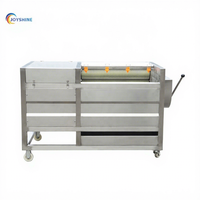 Joyshine Fabrieksprijs Gember Cassave Aardappelschiller Uienschilmachine