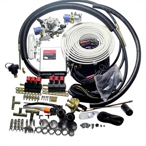 Kit di Conversione Auto da Benzina a GPL/CNG D06 AEB 6 Cilindri, Parti Auto per GPL Prodotte in Cina - Product Image 1
