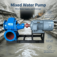 Pompe centrifuge horizontale à flux mixte monophasée de 8, 10, 12, 16, 20 pouces pour drainage, eaux usées et transfert d'eau claire