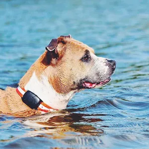 Geo-çit gerçek zamanlı su geçirmez evcil hayvan GPS takip cihazı köpek kedi Anti kayıp konumu GPS takip yaka
