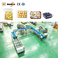 Machine de lavage de patates douces pour un nettoyage en profondeur du sol, machine de découpe et d'emballage de pommes de terre, ligne de nettoyage et de calibrage de pommes de terre