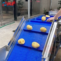 Commerciële Kleine Fruitverwerkingsmachine Nieuwe Staat Aardappelwasmachines Voor Taro Voor De Productie Van Zoete Snoep