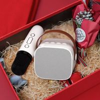 Ensemble de micros et haut-parleurs sans fil portables pour la famille Home Theater KTV Party ou DJ-pour adultes et enfants