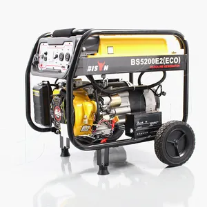 Bison China Generator 2500Watt Portable Gasoline Gas 240V Mini Generator 220V 2800W