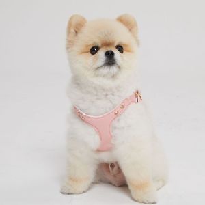 Arnés de Cuero Premium para Perro con Bordado de Nombre Personalizado, Arnés Acolchado para Pasear Mascotas, Texto Personalizado para una Identificación Única - Product Image 2