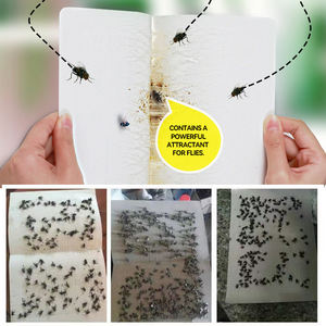 उच्च गुणवत्ता वाले कार्डबोर्ड गोंद बोर्ड चिपचिपा फ्लाई कैचर पेपर सरीसृप ट्रैप स्टिकर गोंद पेपर फ्लाई कीट नियंत्रण बोर्ड - Product Image 2