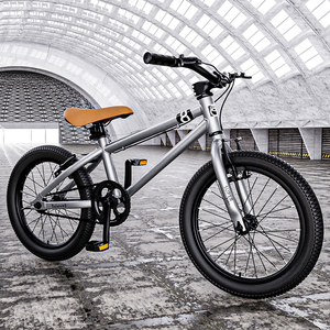 Funsea Bike <span class=keywords><strong>BMX</strong></span> 20 pulgadas bicicleta Stunt Freestyle <span class=keywords><strong>Park</strong></span> Street ciclismo adultos niños Bicicletas Accesorios - Product Image 6