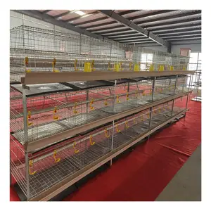 Nijerya h tipi tavuk broiler kafes satılık 120 broiler tavuk kafesi