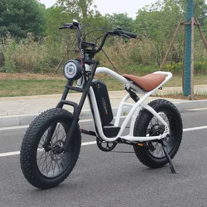 GDS Ebike M019 하이브리드 전기 도로 자전거 전체 서스펜션 전자 자전거 250w 500w 36v 48v 전자 산악 자전거 남성 elektro fahrrad