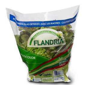 Impresión de Grabado Personalizada Transparente para Bolsas de Plástico para Productos Vegetales Hidropónicos CPP OPP PE Microperforadas para Uso <span class=keywords><strong>en</strong></span> Supermercados - Product Image 5