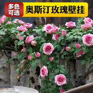 Guirlandes de roses artificielles Lanting, fleurs en soie, décoration murale suspendue, décoration de mariage, décoration intérieure et extérieure - Product Image 4