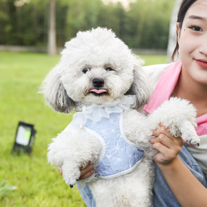 <b>Pet</b> leash vest style cat and dog universal chest <b>harness</b> cat and dog supplies cat and dog walking leash - Product Image 1