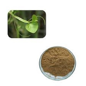 Poudre d'extrait de Cissus Quadrangularis naturel jaune de haute qualité, extraite par solvant, qualité alimentaire, d'Inde, vente en gros, best-seller - Product Image 5