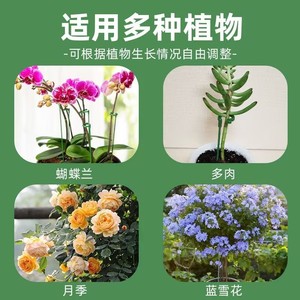 Estacas para Plantas Haihua para Suculentas y Orquídeas, Varillas de Soporte de Plástico Verde con Diseño de Gancho para Macetas y Plantas de Interior - Product Image 4