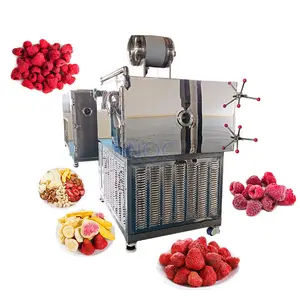HNOC Strawberry Fruit Mushroom Industrial Lyophilization Vacuum Dried Freeze Drying Dry Machine for Food