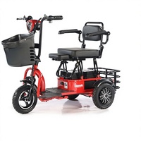 Tricycle Électrique Pliant à Pièces Détachées, Chaise de Mobilité de Loisirs, Moteur Brushless, Autonomie 30km, Pour Personnes Handicapées et Âgées, Propulsion Arrière, Ouvert