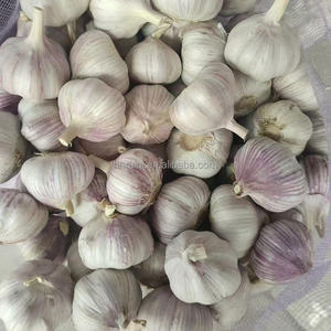 Aglio bianco fresco organico organico 4.5cm 6.0cm bianco normale e puro 10kg all'ingrosso cartone di puro aglio fresco - Product Image 2