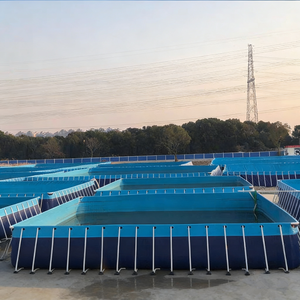 <span class=keywords><strong>Piscina</strong></span> con Marco Metálico <span class=keywords><strong>Desmontable</strong></span> Personalizada de Fábrica, <span class=keywords><strong>Piscina</strong></span> para Niños - Product Image 6