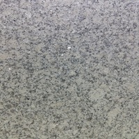 Personnalisez la dalle de granit gris naturel G602 pour le revêtement de sol du mur Pavé Dalle de bordure en pierre