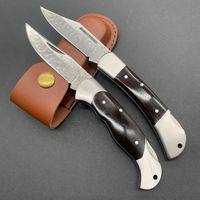 Hot Selling Rvs Vouwmes Hoge Hardheid Outdoor Camping Survival Hout Handvat Diy Barbecue Vlees Fruit 3 Jaar