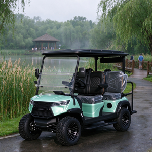 Carrito de golf elevado de 4 plazas con pintura personalizada, buggy eléctrico para transporte en villas privadas - Product Image 1