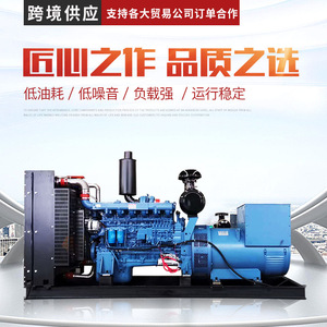 Générateur diesel Weilu 200-300 kW 400/230 V 50 Hz pour usage industriel et agricole - Product Image 4