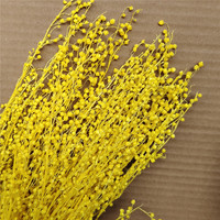 Fleurs conservées mini haricots matériaux pour compositions florales et bouquet décorations pour la maison plantes séchées petits haricots Noël