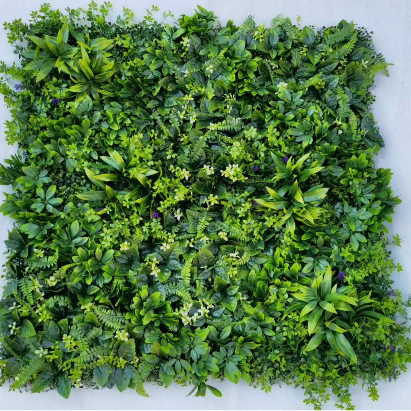 D specifications 100*100