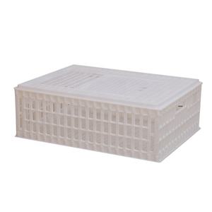 Nuovo 10 pollo portatile H-tipo cassa di trasporto di plastica per azienda avicola per uso domestico tacchino gabbie di trasporto - Product Image 2