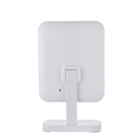 Miroir de maquillage rectangulaire à trois tons d'éclairage rechargeable/sans fil de 19 pouces avec LED 1X miroirs de tables de grossissement GMM1901