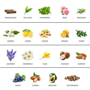 Fabrika toptan saf uçucu yağ avokado tohumları soğuk preslenmiş 5L saç ve cilt bakımı için - Product Image 6