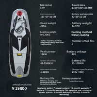 Planche de surf électrique hydrofoil pour utilisation avec bateau rapide et jet ski